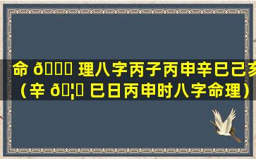 命 🐎 理八字丙子丙申辛巳己亥（辛 🦆 巳日丙申时八字命理）